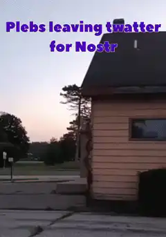Raccoons climbing house with lightning effect