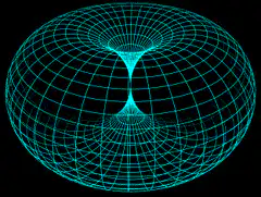 cyan wireframe torus