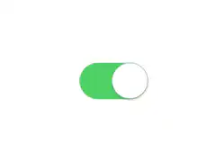 Green toggle switch animation