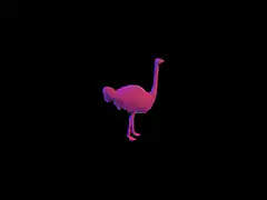 Pink Ostrich on Black Background