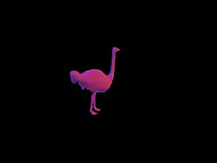 Pink Ostrich on Black Background
