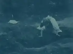 Woman crawling into a hole