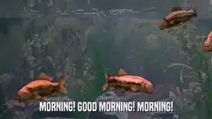 Good morning fish