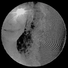 Grainy black and white circular scan
