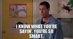Adam Sandler I Know What You're Sayin'