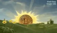 Bitcoin sun rising over green hills
