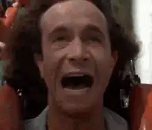 Man screaming on a roller coaster