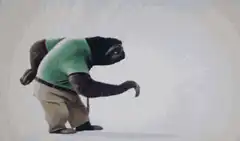 Sloth walking slowly