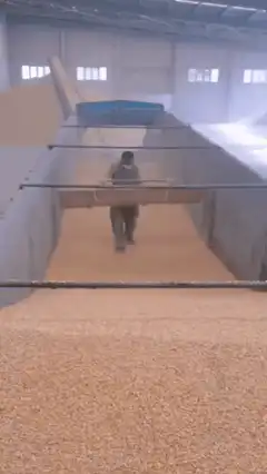 man sliding down grain chute