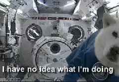 dog astronaut floating in space