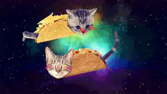 taco cats laser eyes