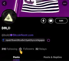 Nostr profile followers count increasing