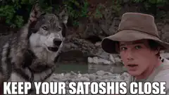 Keep Your Satoshis Close Wolf Boy