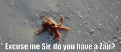 Octopus asking for a Zap