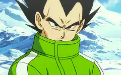 Vegeta in green jacket