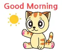 Good Morning Cat GIF