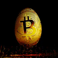 Golden Bitcoin Coin