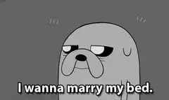 Jake the Dog wants to marry his bed