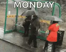 Monday car wash splash