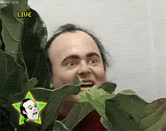Danny DeVito in a plant costume