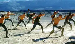 Men doing synchronized martial arts on a beach