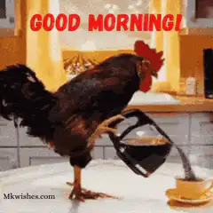 rooster pouring coffee good morning