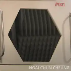 Dog peeks through hexagonal window