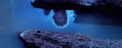 Ghostly figure in water