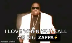 I love when you call me Big Zappa