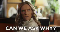 Can We Ask Why?