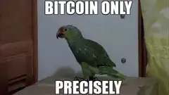 Precisely Bitcoin Only Parrot Man