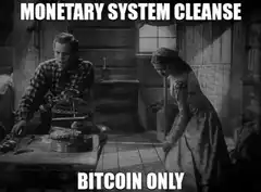 Monetary System Cleanse Bitcoin Only