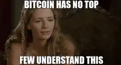 Bitcoin Has No Top Few Understand This