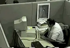 Man smashes computer monitor with hammer