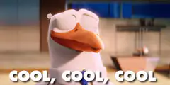 Cool, Cool, Cool Duck