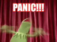 Kermit Panic