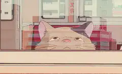 Cat looking out train window