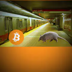 Bitcoin armadillo travels locations