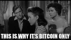 This Is Why It's Bitcoin Only