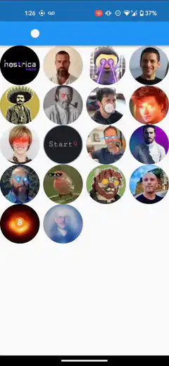 Nostrica app profile grid