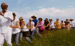 Train ride in a field