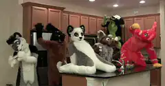 Furry characters dancing in a kitchen