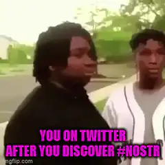 You on Twitter after you discover Nostr