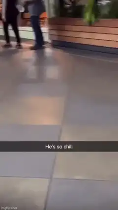 Rabbit in toy truck chill