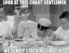 Look at this chart gentlemen we'll keep stacking satoshis