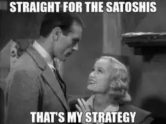 Straight for the Satoshis That's My Strategy