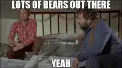 Lots of bears out there yeah