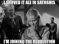 I Shoved It All In Satoshis I'm Joining The Revolution