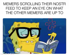 Spongebob reading field guide nostr meme