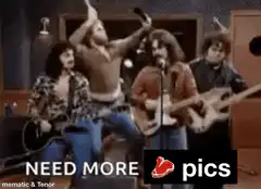 Frank Zappa band need more pics